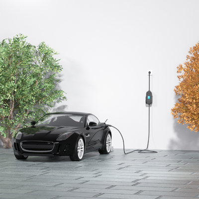 شاحن الكهرباء المحمول ذو مرحلة واحدة 3.5kw مثبت على الحائط مع شحن القابس وكشف العزل
